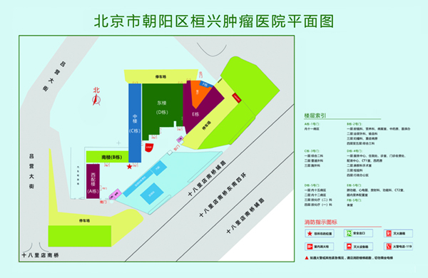 日逼男女剧情网站北京市朝阳区桓兴肿瘤医院平面图